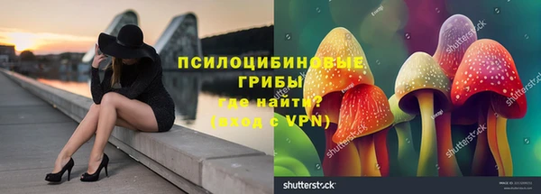 гидропоника Алзамай