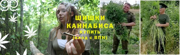 сатива Алексин