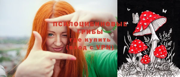 сатива Алексин