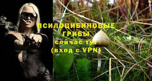 гидропоника Алзамай