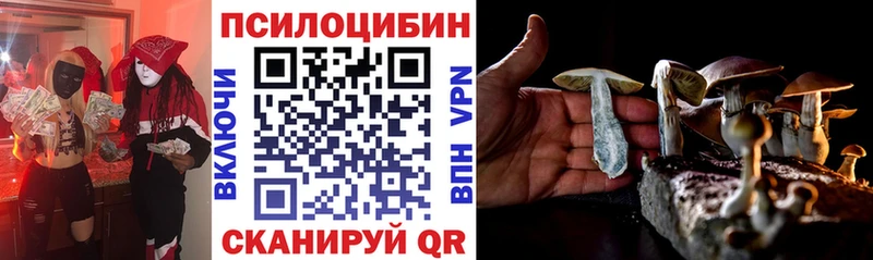 наркота  Андреаполь  kraken tor  Псилоцибиновые грибы прущие грибы 